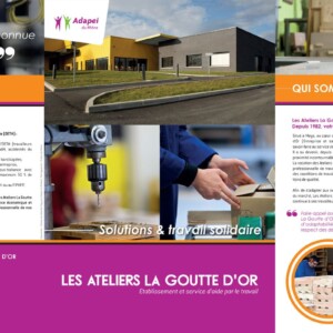 cartes de visite 3